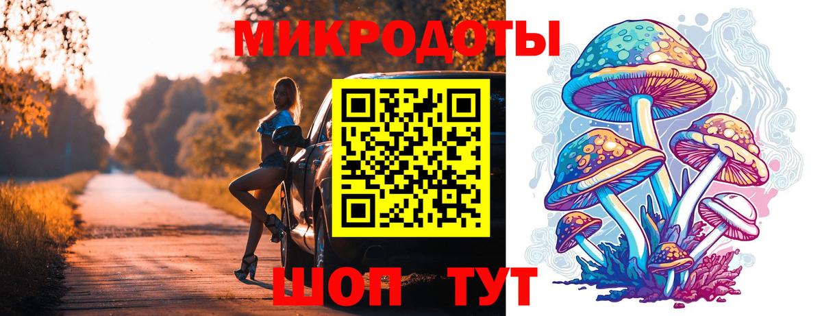 Псилоцибиновые грибы Psilocybe  Псилоцибиновые грибы мицелий  Кунгур  Вход с VPN 